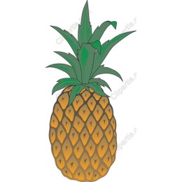 Tropical Pineapple