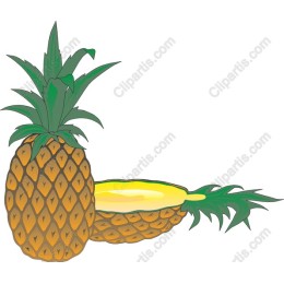 Tropical Pineapple
