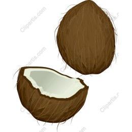 Coconut Drawing