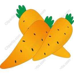 Vibrant Carrot