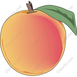 Luscious Peach