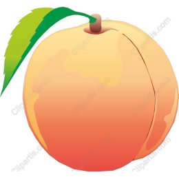 Vibrant Peach