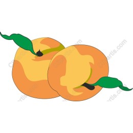 Peachy Delight