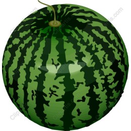 Vibrant Watermelon