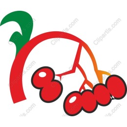 Vibrant Tomato