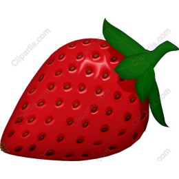 Vibrant Strawberry