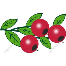 Berry Cluster