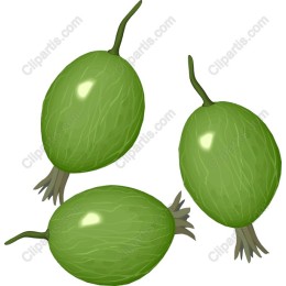 Fresh Green Fruits
