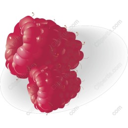 Raspberry