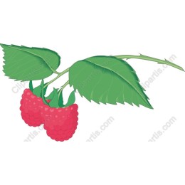 Vibrant Raspberry