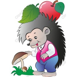 Playful Hedgehog