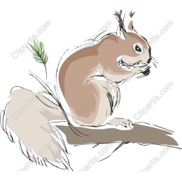 Playful Squirrel