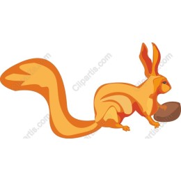 Vibrant Orange Squirrel