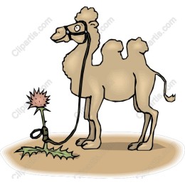Quirky Camel and Thistle