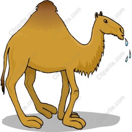 Charming Cartoon Camel