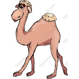 Cartoon Camel