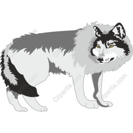 Majestic Wolf