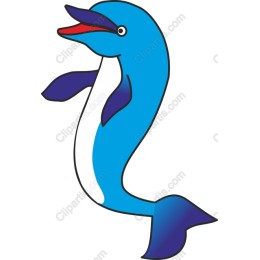 Playful Dolphin