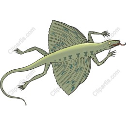 Flying Reptile