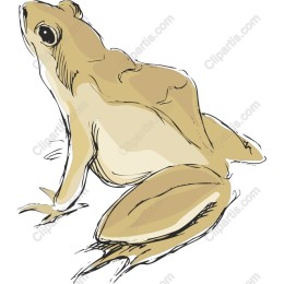 Frog - Nature-Inspired