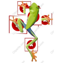 Vibrant Green Frog