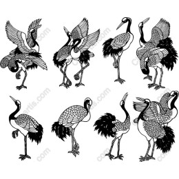 Elegant Crane Set