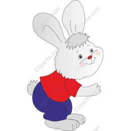 Cute Playful Rabbit