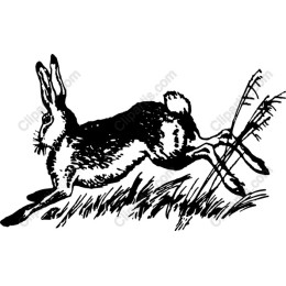 Charming Hopping Rabbit Vintage