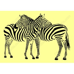 Zebra Embrace