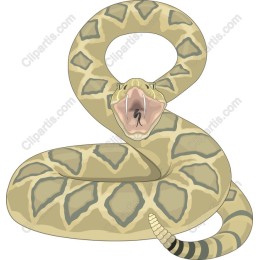 Coiled Snake