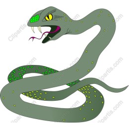 Vibrant Snake