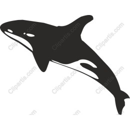 Orca