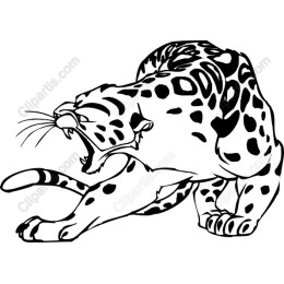 Roaring Leopard