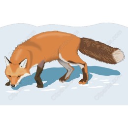Premium Fox