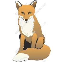 Charming Fox