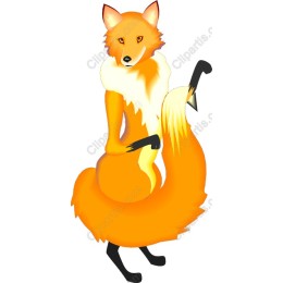 Playful Fox
