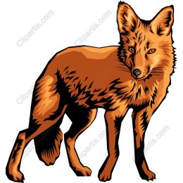 Dynamic Fox