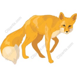 Golden Fox