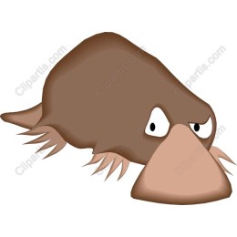 Charming Platypus