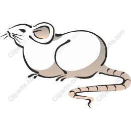 Charming Mouse