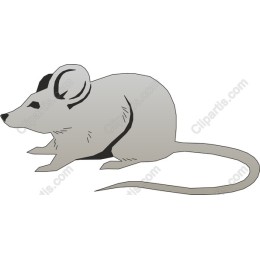Charming Mouse