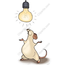 Whimsical Mouse Lightbulb