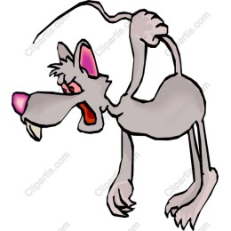 Whimsical Mischievous Wolf