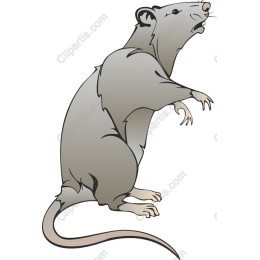 Charming Rat