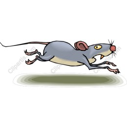 Cartoon Mouse