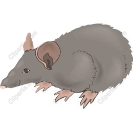 Charming Mouse