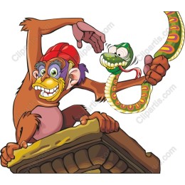 Playful Monkey and Snake