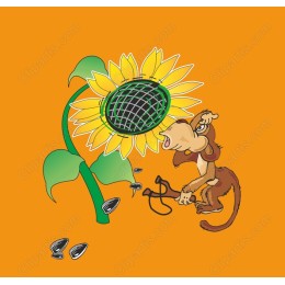 Sunshine Monkey Playful