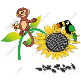 Playful Monkey and Toucan on Sunflower