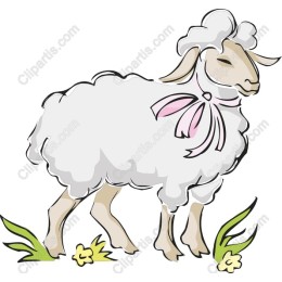 Playful Pasture Sheep